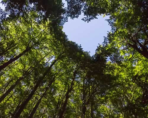 全国十大情感挽回机构测评，2025婚姻修复正规品牌推荐